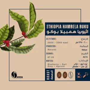 محصول قهوة اثيوبيا همبيلا بوكو فاخر
