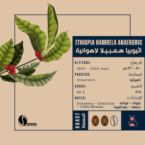 اثيوبيا همبيلا لاهوائية 250 جرام - برق الكويت